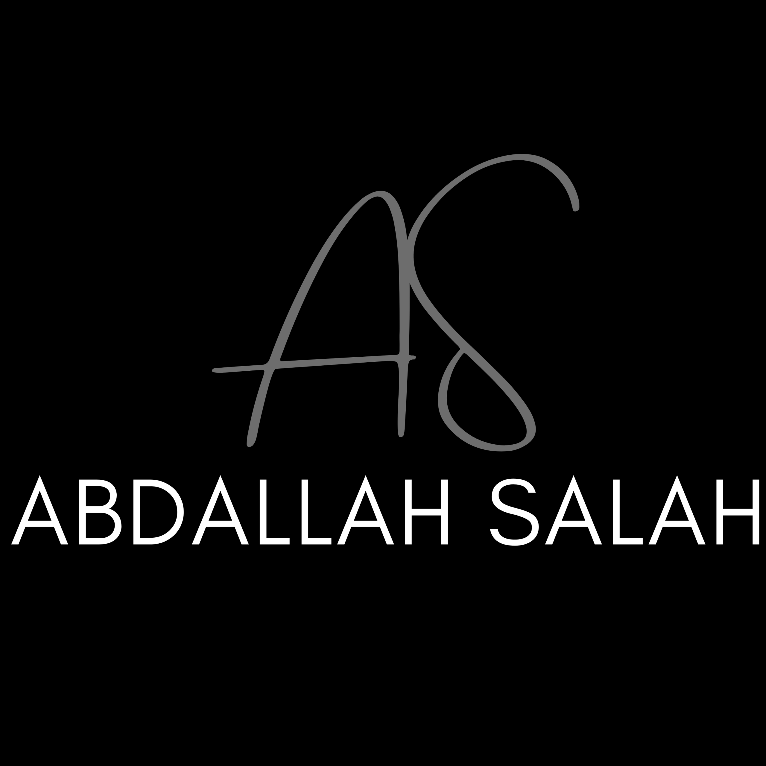 Abdallah Salah Senousy Ahmed